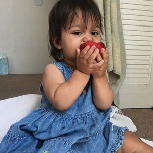 Vintage Gymboree jean dress